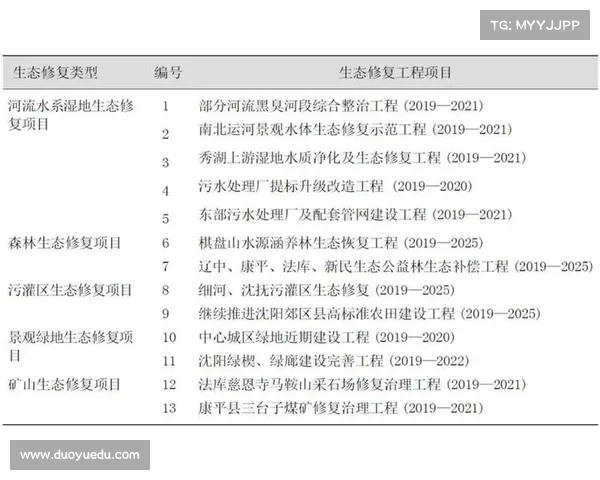 足球俱乐部出售球员策略分析与市场价值评估的实践研究